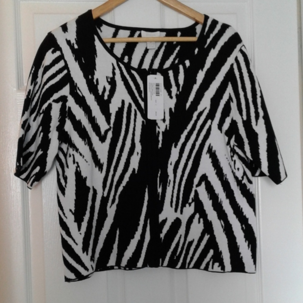 Zebra stripe sweater